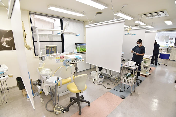 定期的なプロケアの重要性